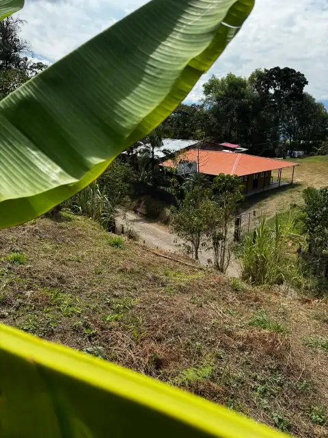 Vista de la finca La Esmeralda desde la ladera